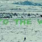 Into the Wild, de Sean Penn