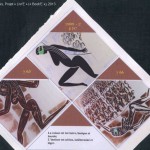 Projet E3 – « Livr'E », (« Book'E »), Page 15. 2009 -2.
